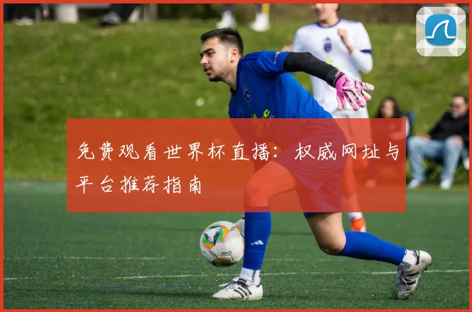 免费观看世界杯直播：权威网址与平台推荐指南