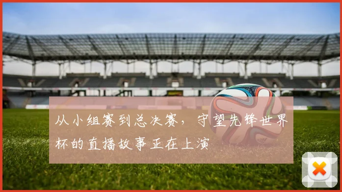 从小组赛到总决赛，守望先锋世界杯的直播故事正在上演